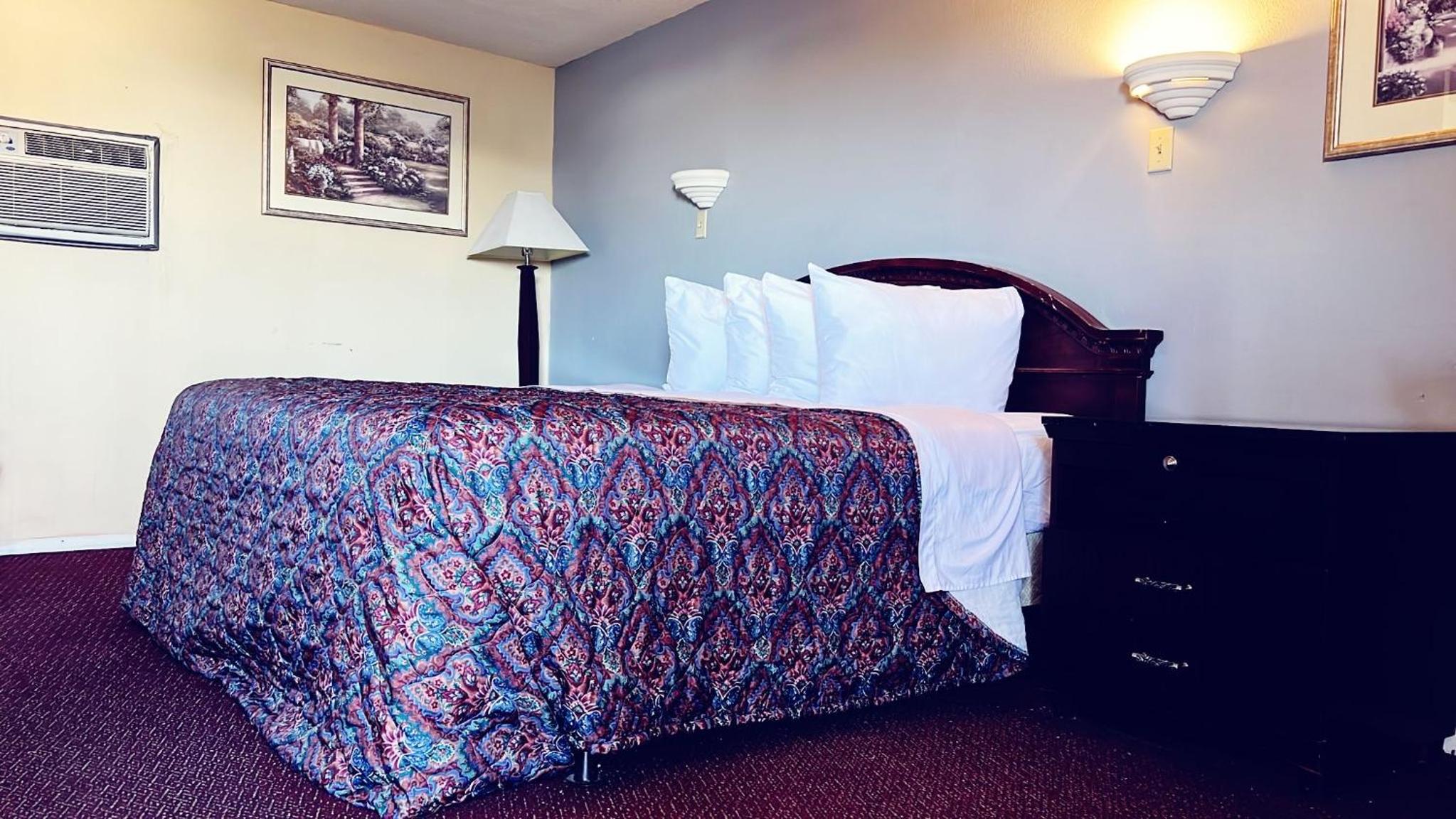 Single Room photo 1
