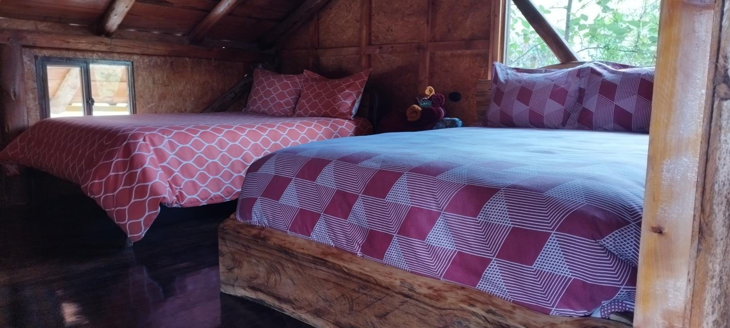 Double or Twin Room photo 1