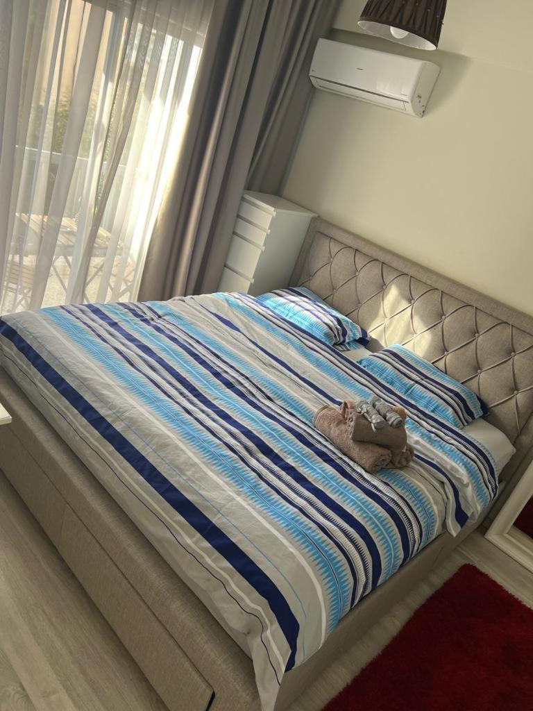 One-Bedroom Apartment - Photo 2