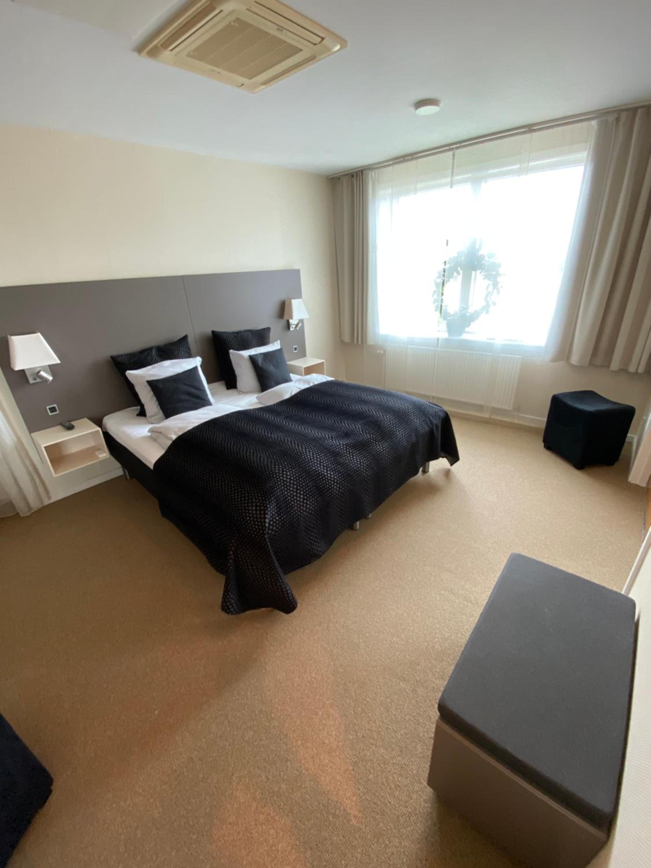 Suite - Photo 8