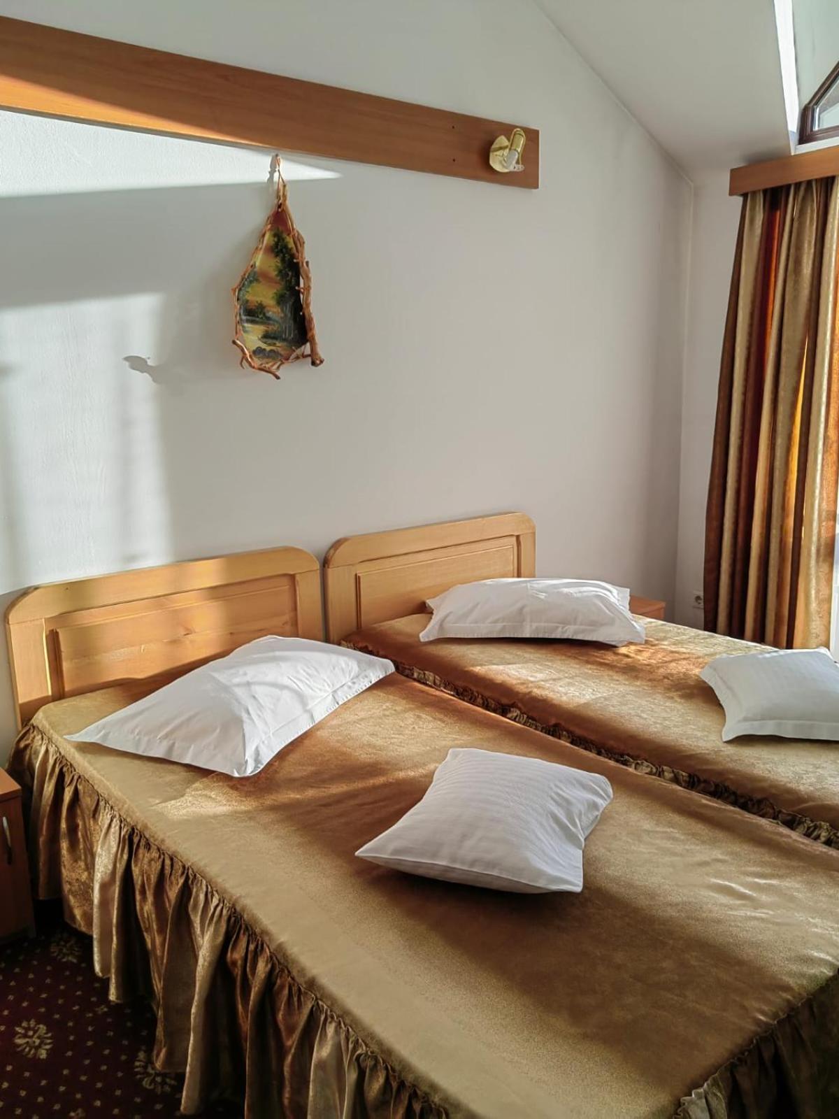 Twin Room photo 3