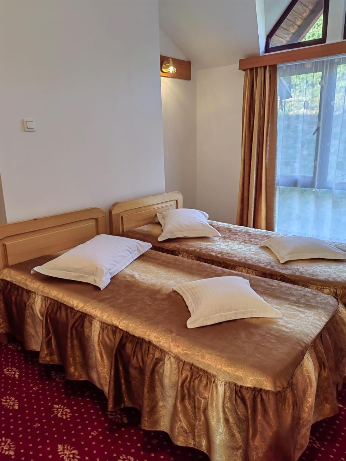Twin Room photo 1