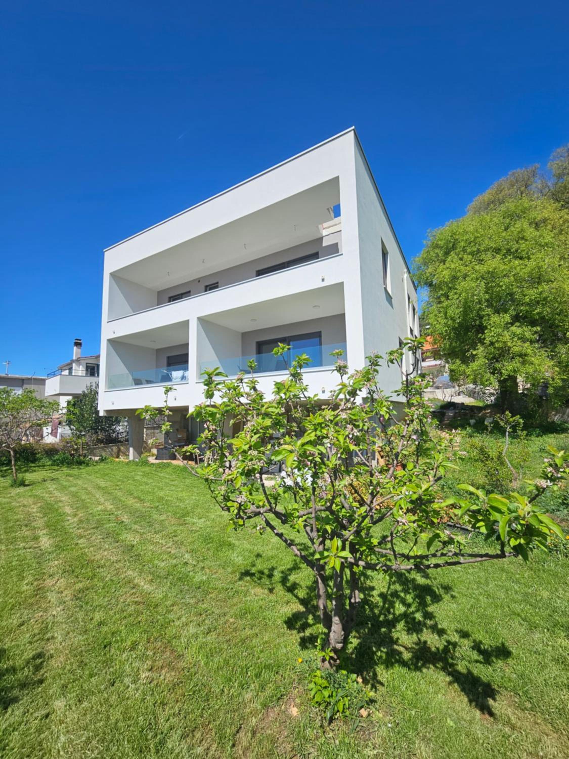 Apartment with Terrace photo 2
