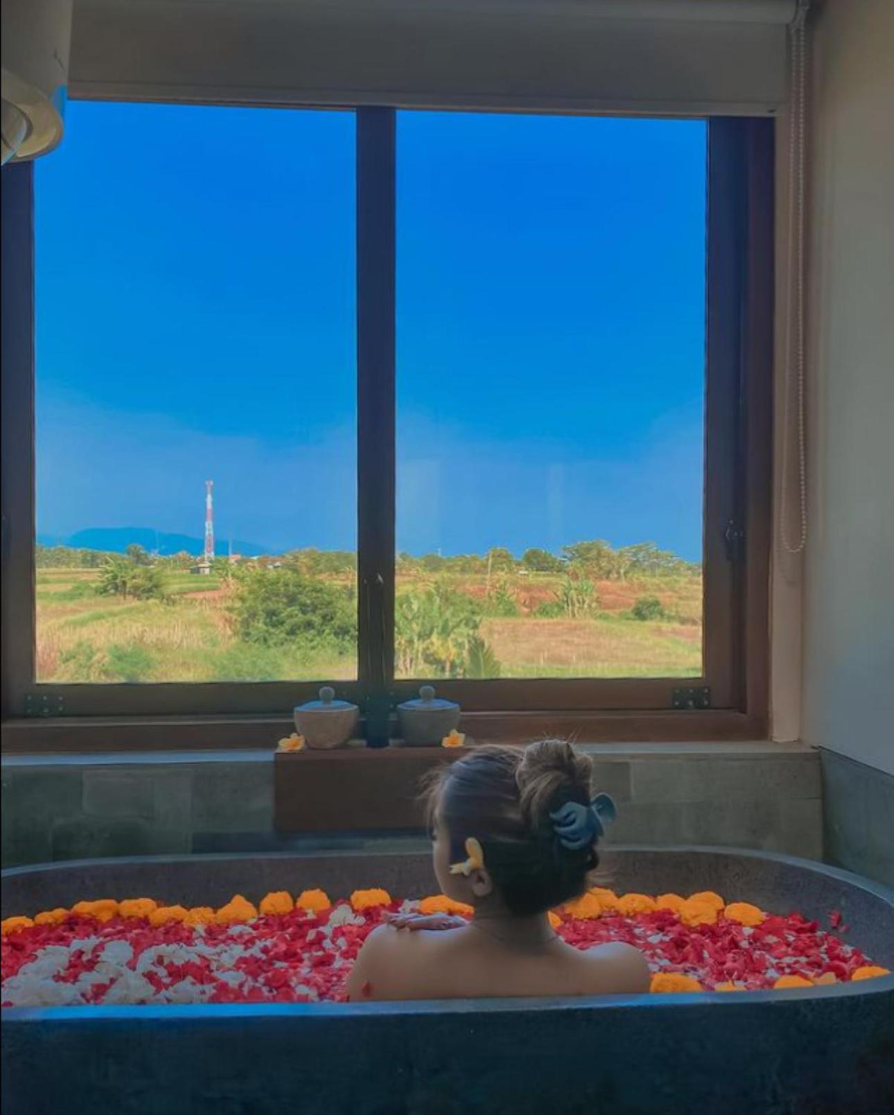 Deluxe Double or Twin Room - Photo 16