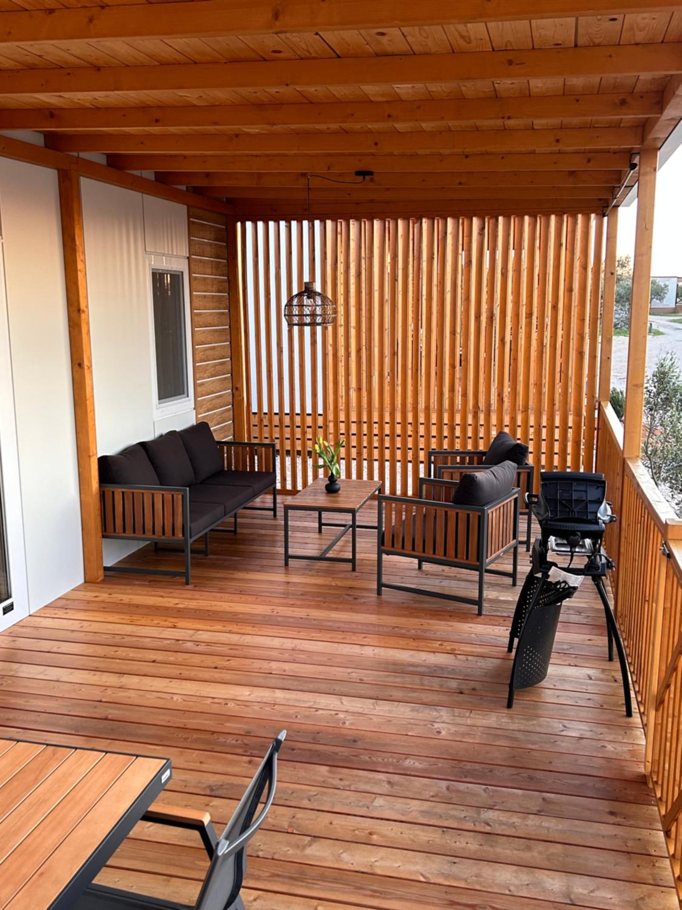 Mobile Home photo 2