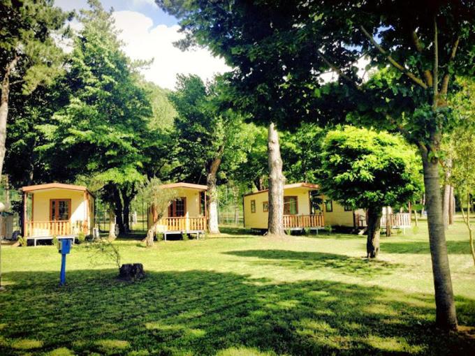Family Bungalow - Photo 3