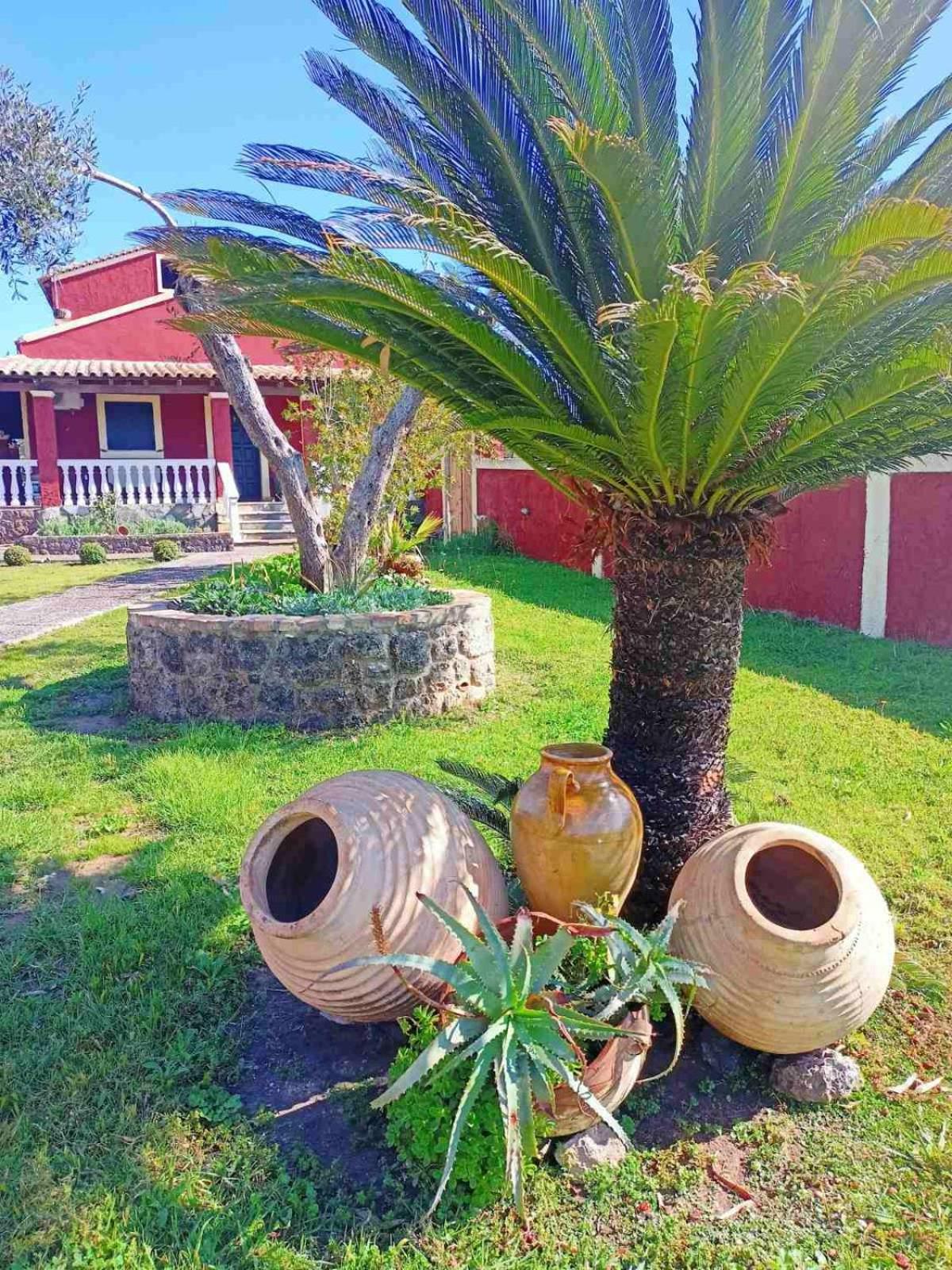 Three-Bedroom Villa photo 3