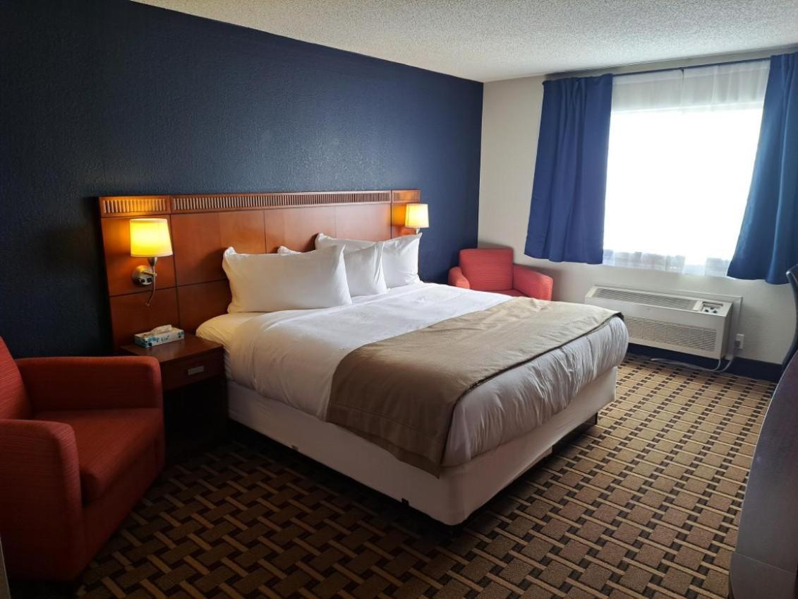 King Room - Disability Access photo 3