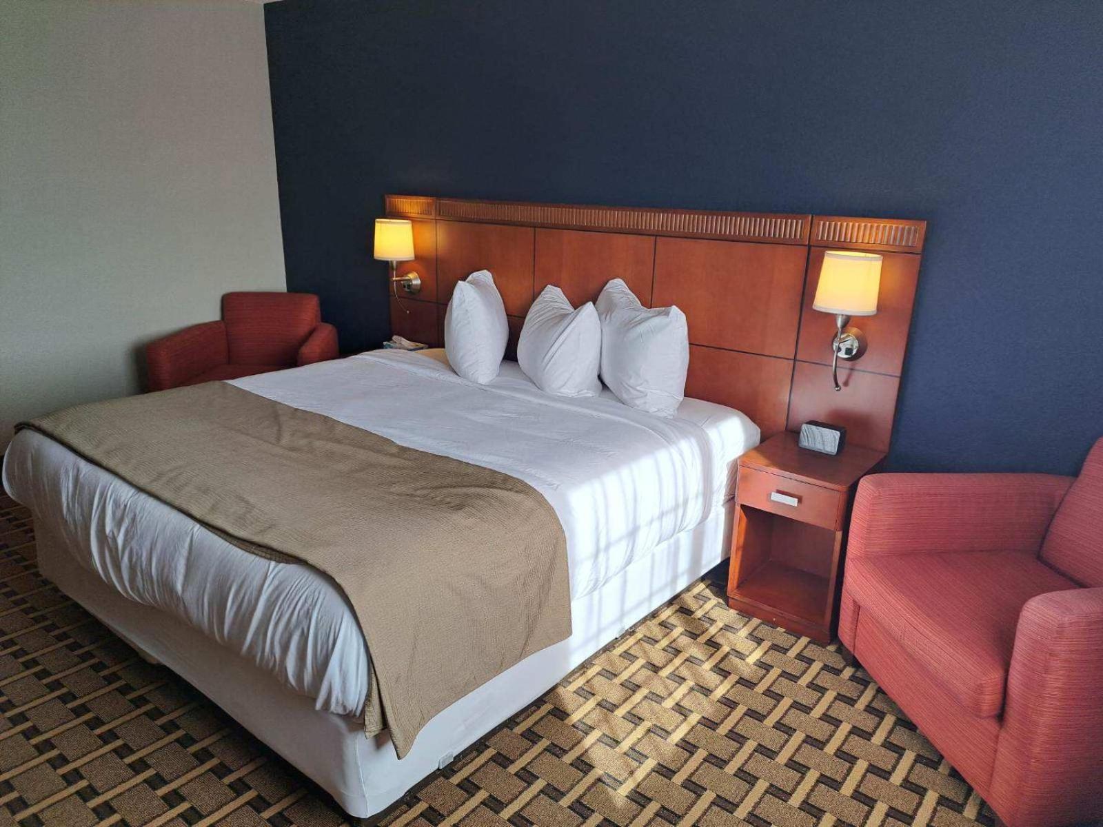 King Room - Disability Access photo 1