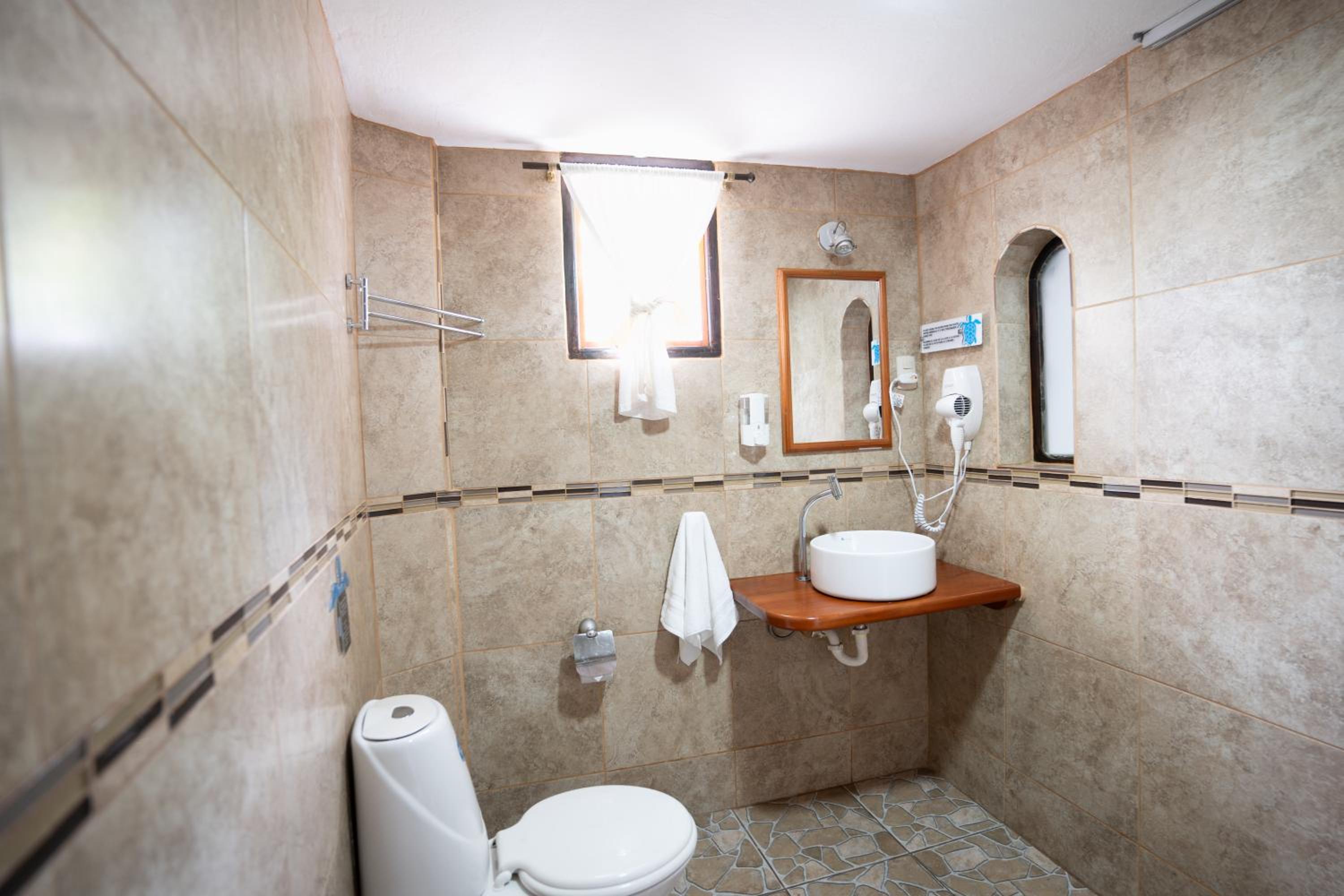 Albatros / Deluxe Double Room with Pool View photo 3