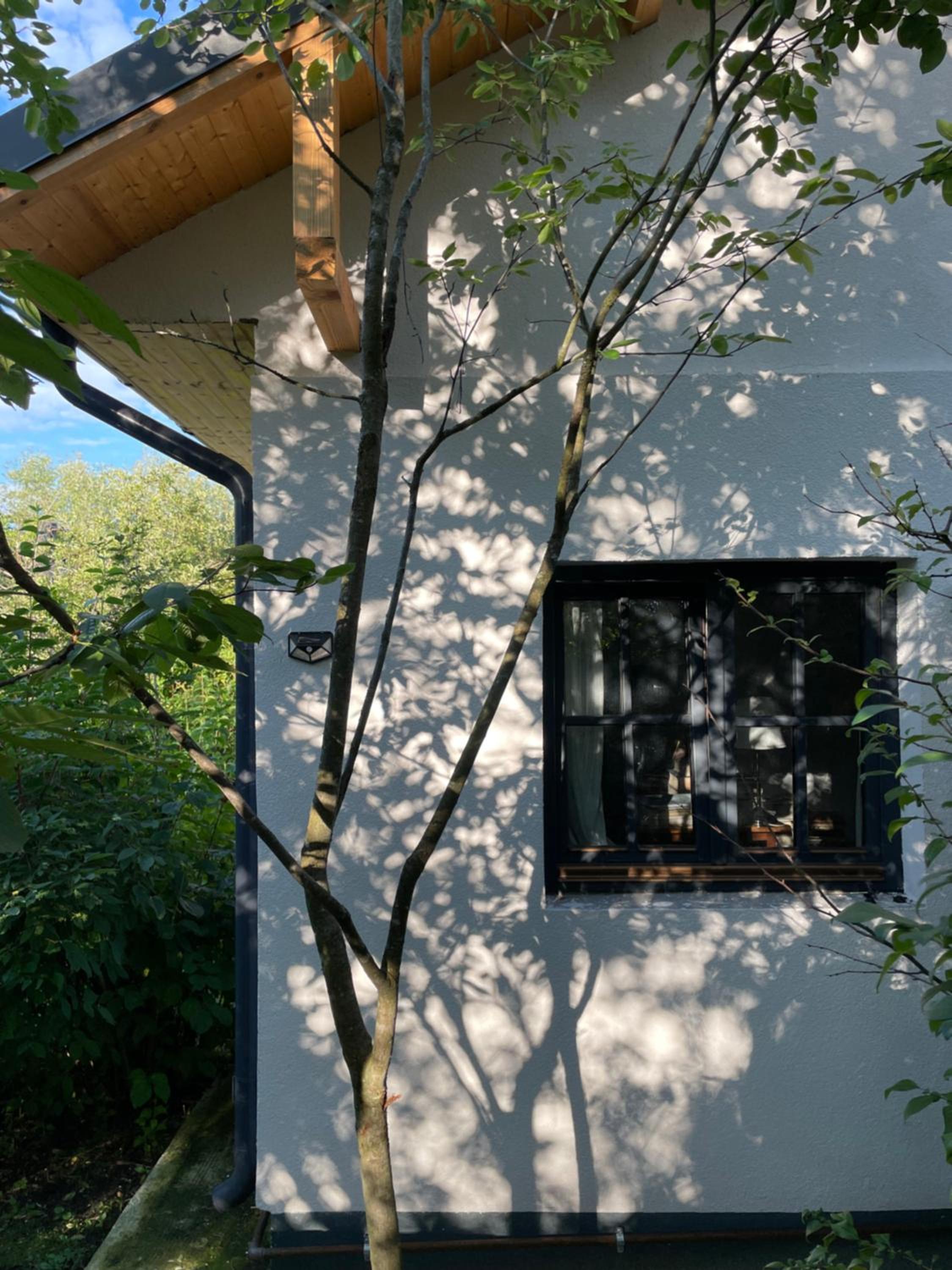 Three-Bedroom House photo 3
