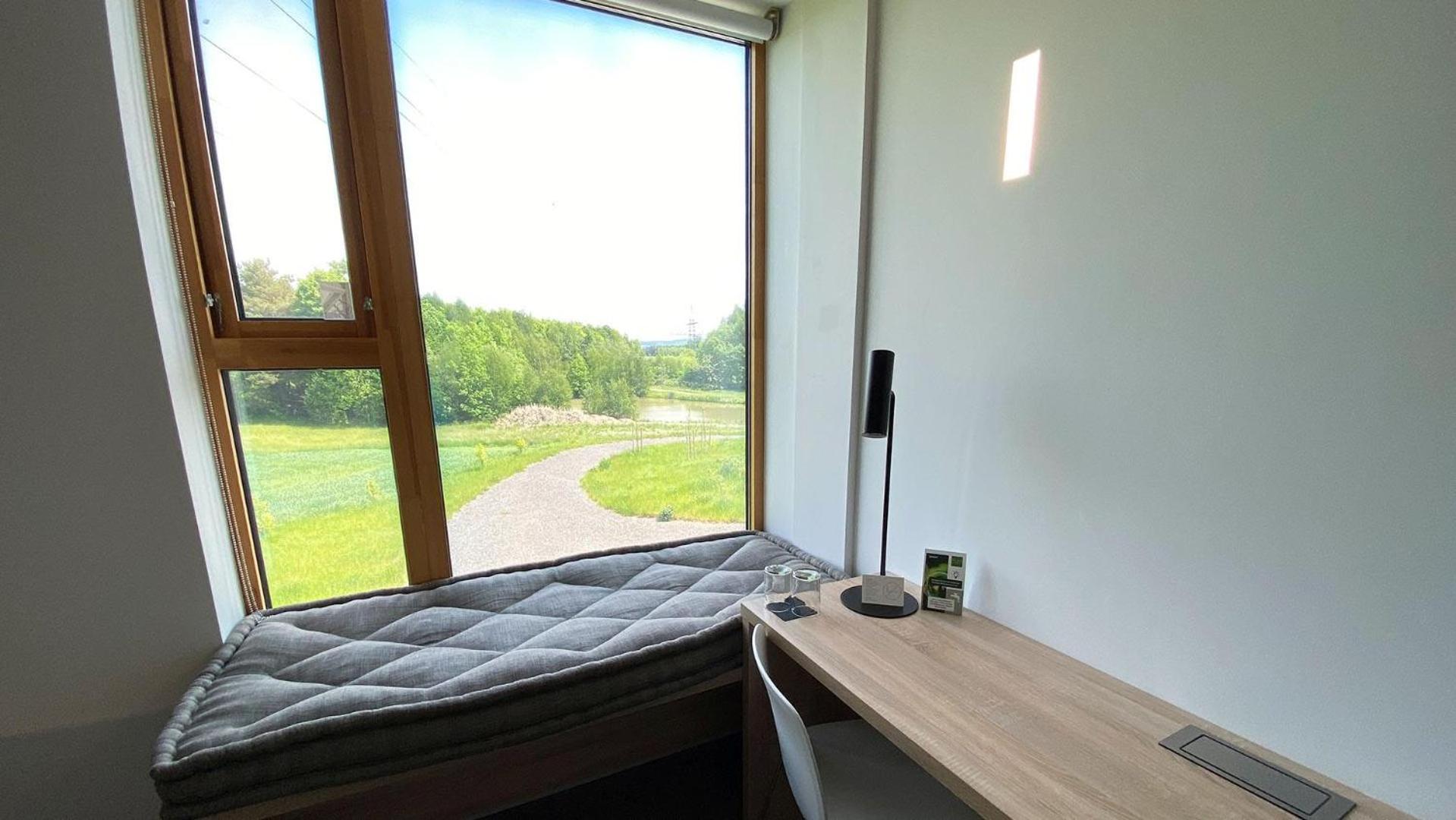Deluxe Double Room photo 3