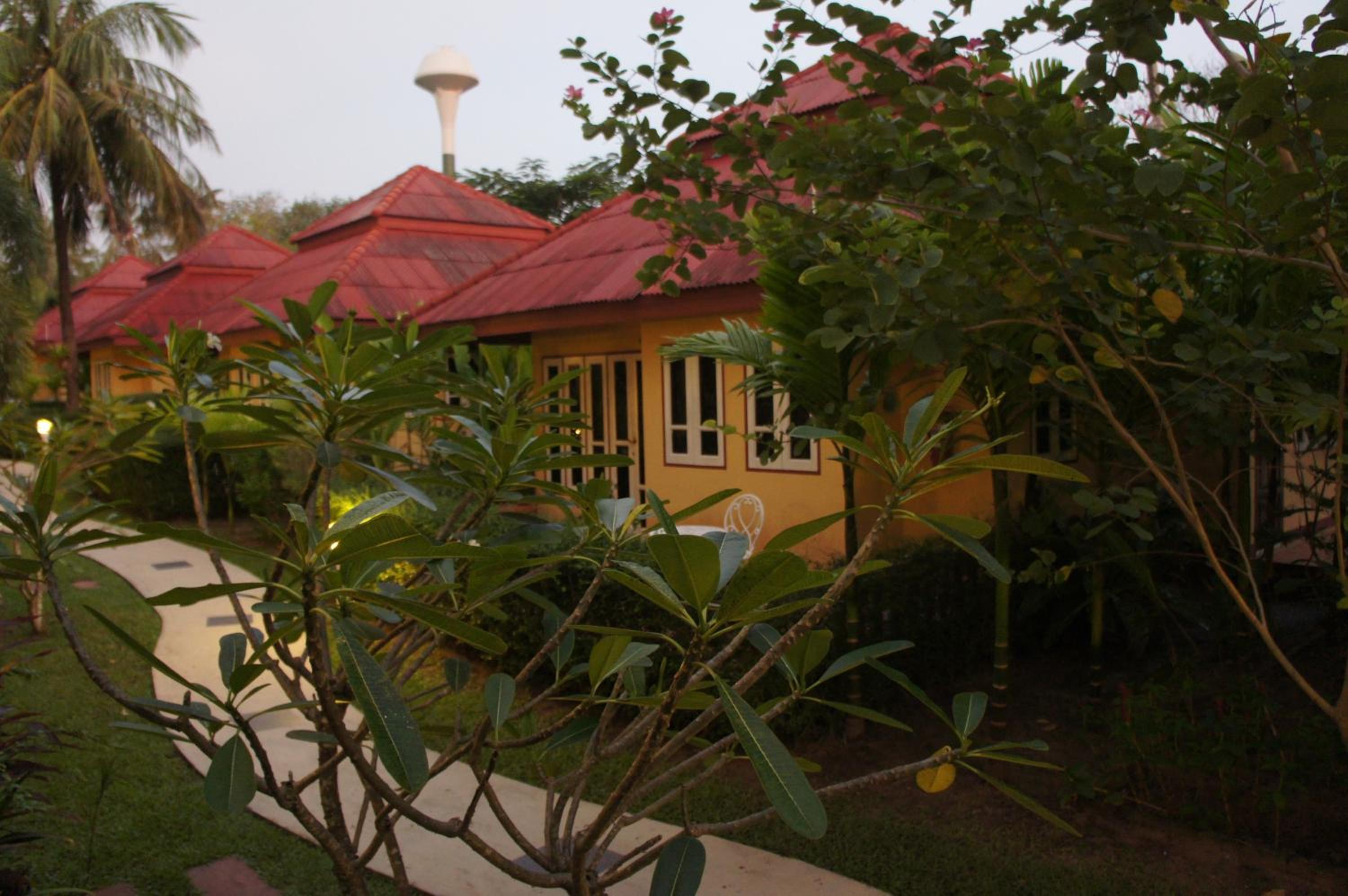 Deluxe Bungalow with Garden View photo 3