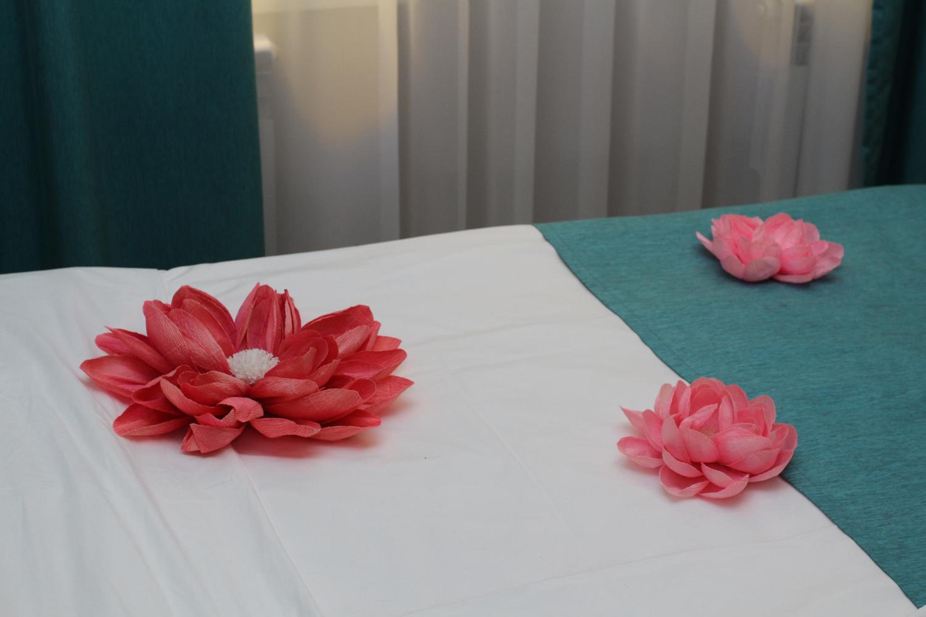 Standard Double Room - Photo 6