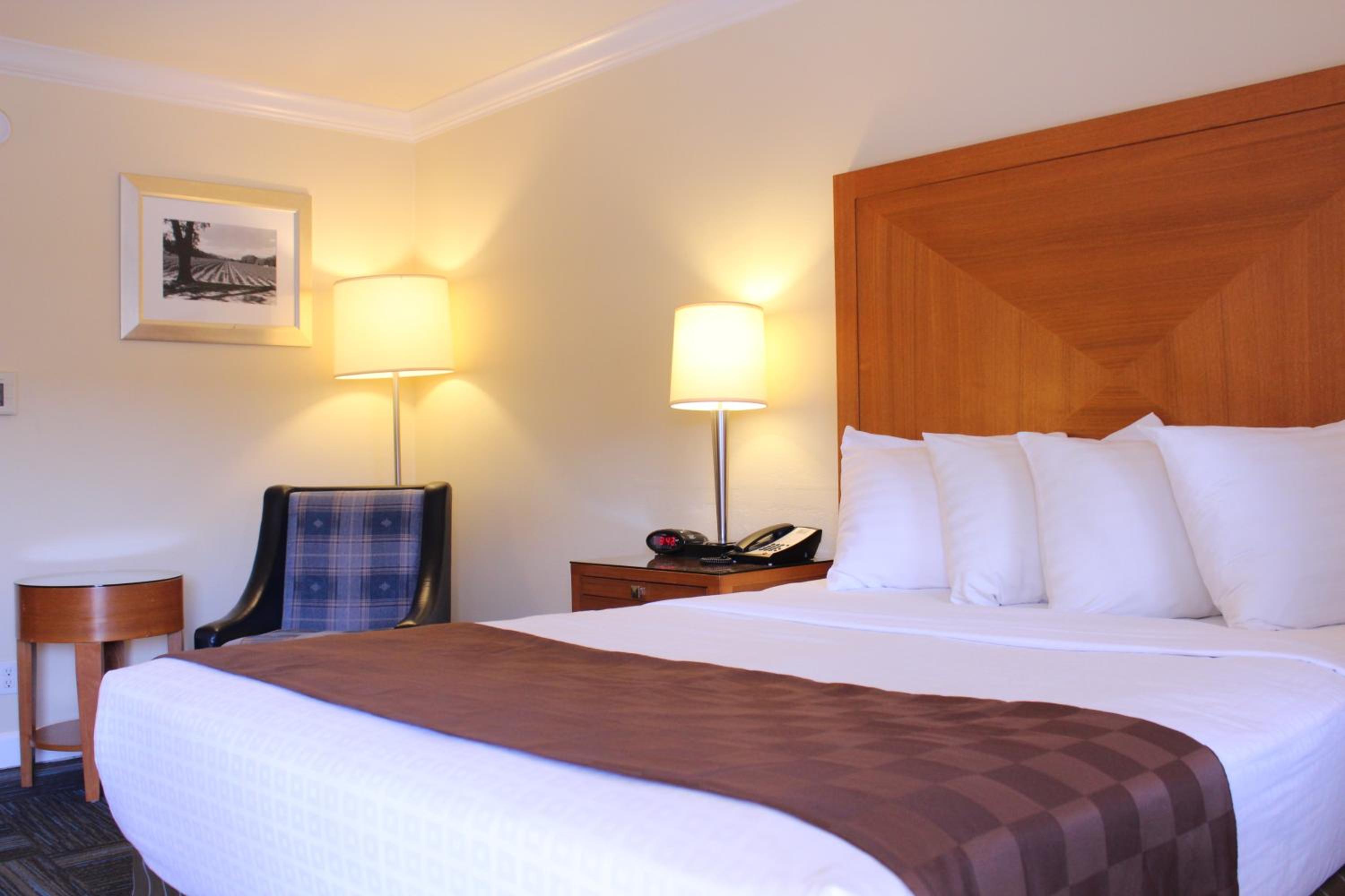 King Room - Photo 12