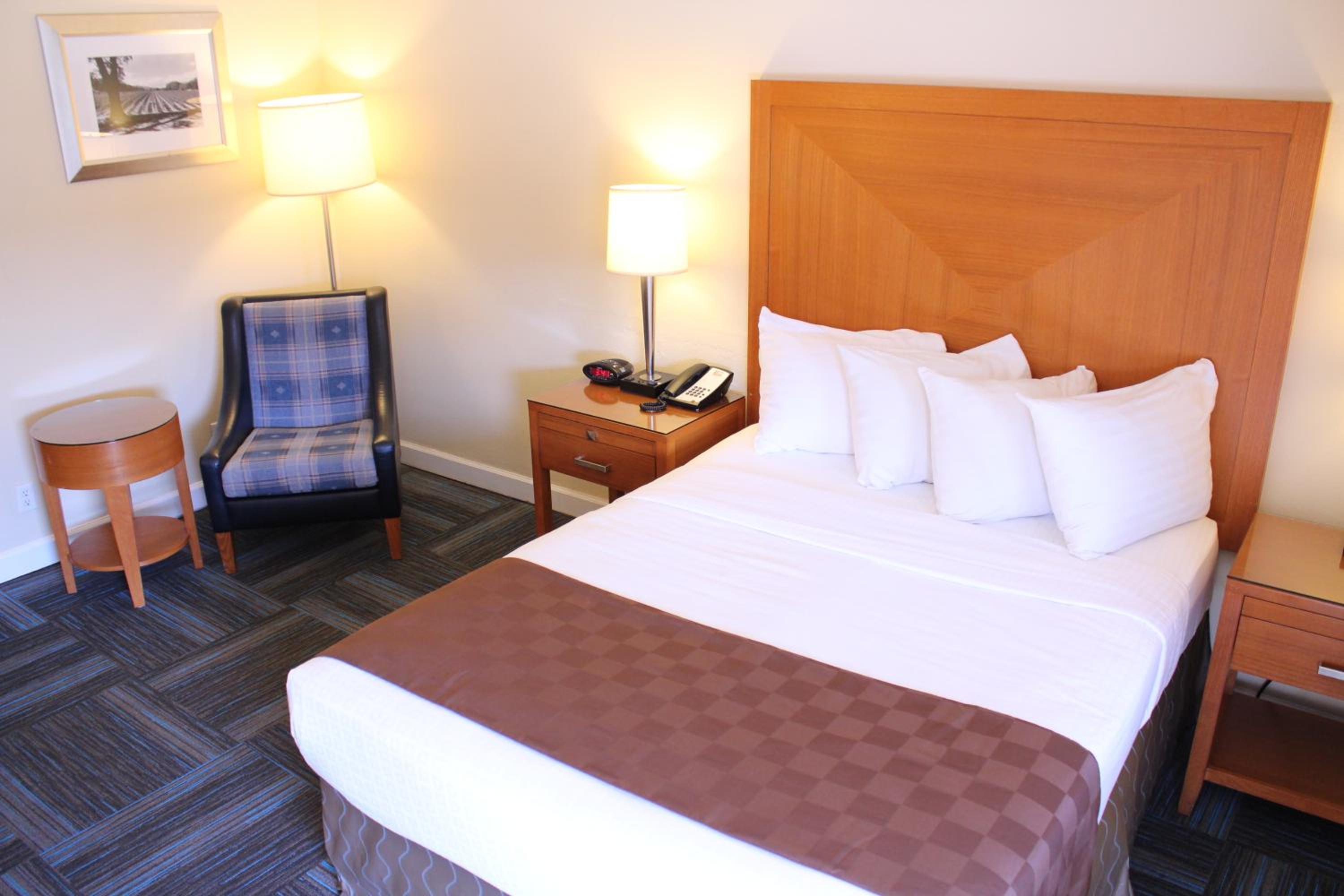 Queen Room - Photo 8