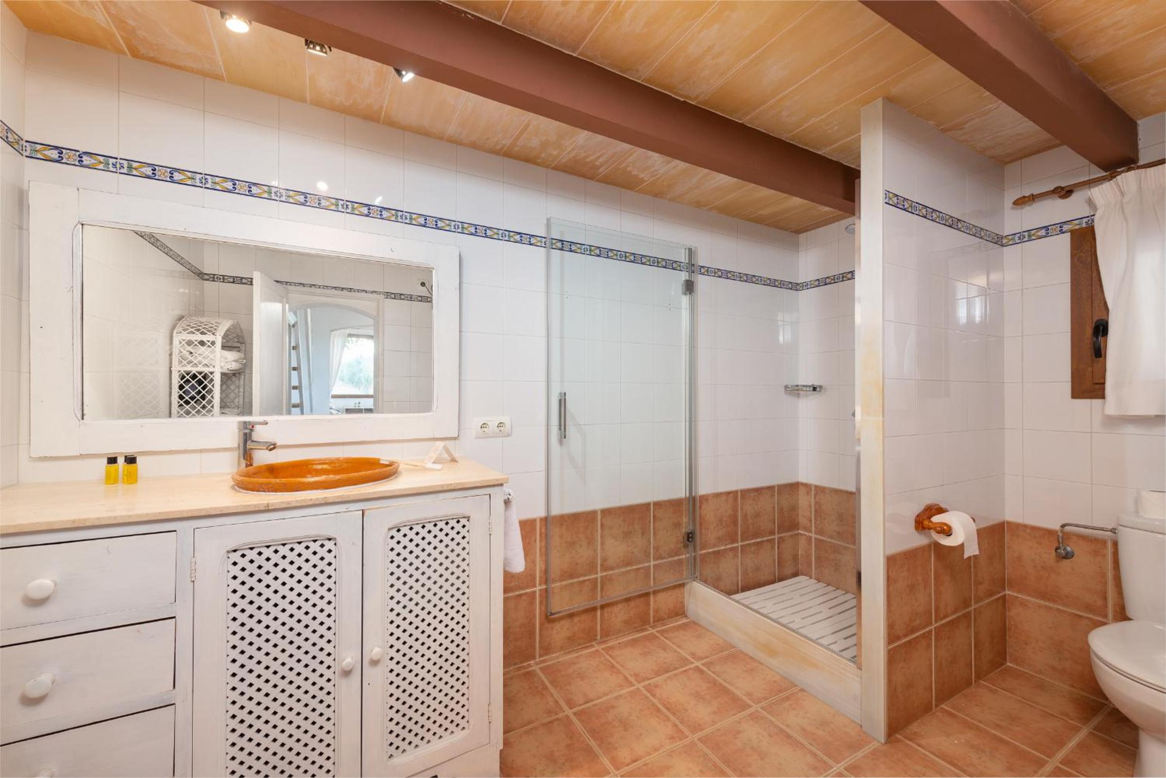 Apartment with Terrace photo 2