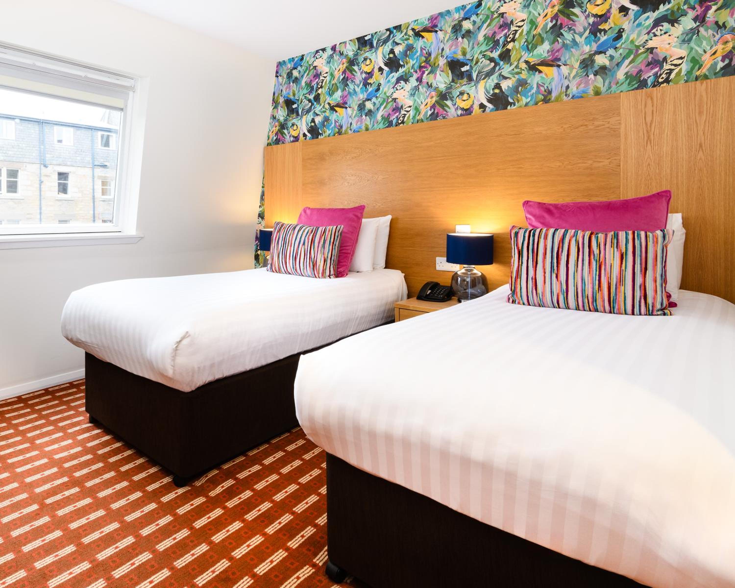 Cozy Twin Room photo 1