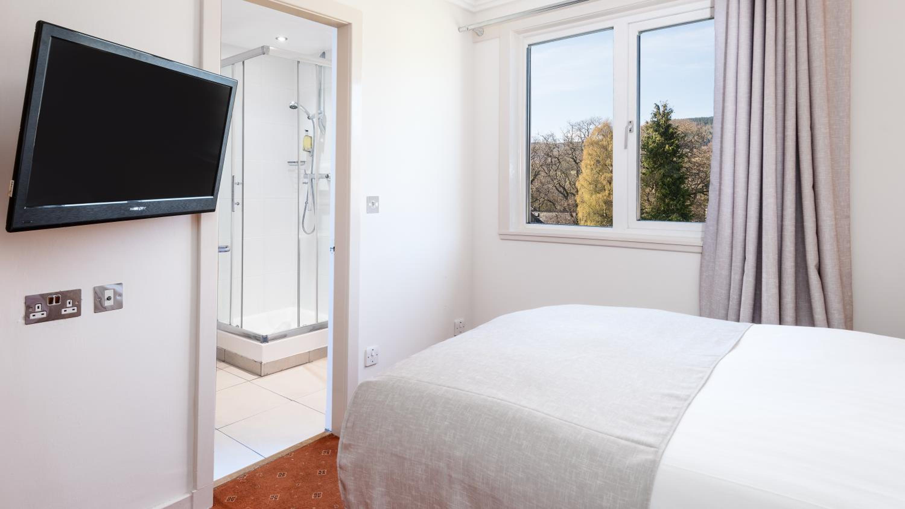 Single Room photo 2