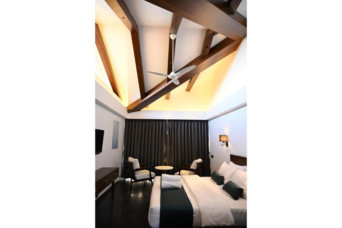 Suite - Photo 1