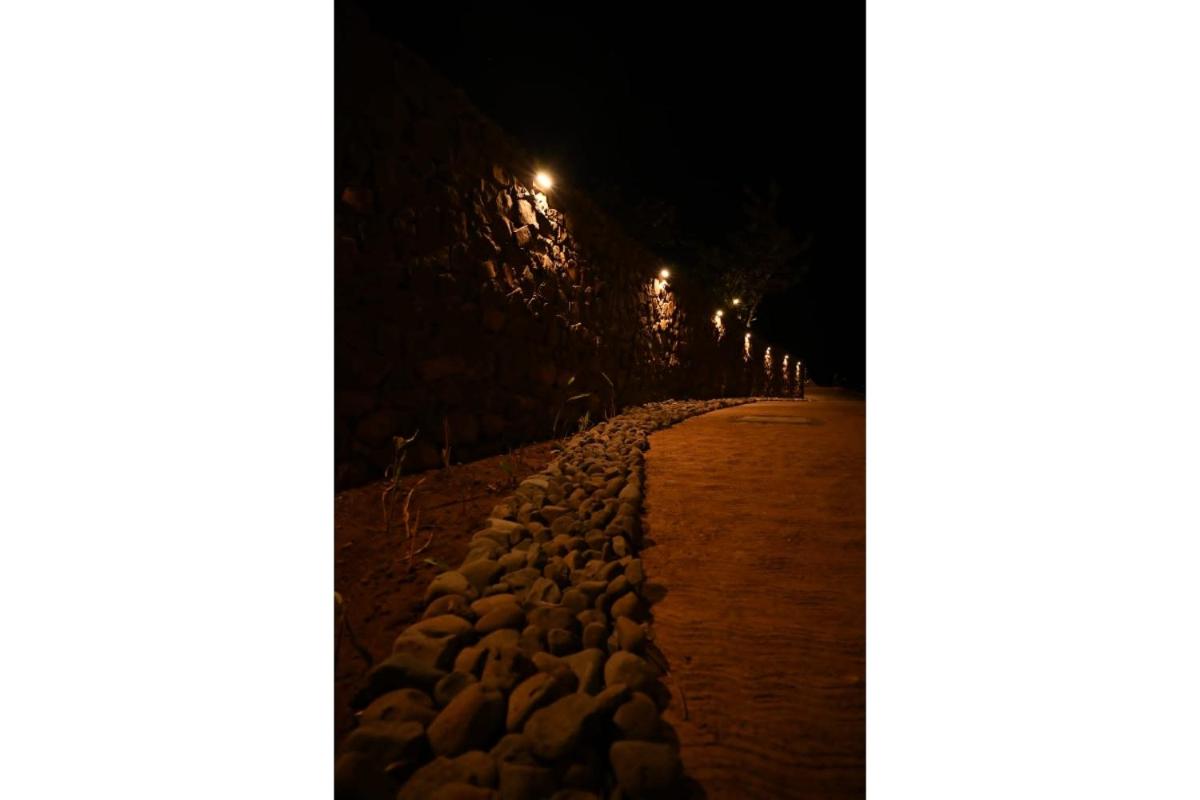 Suite - Photo 8
