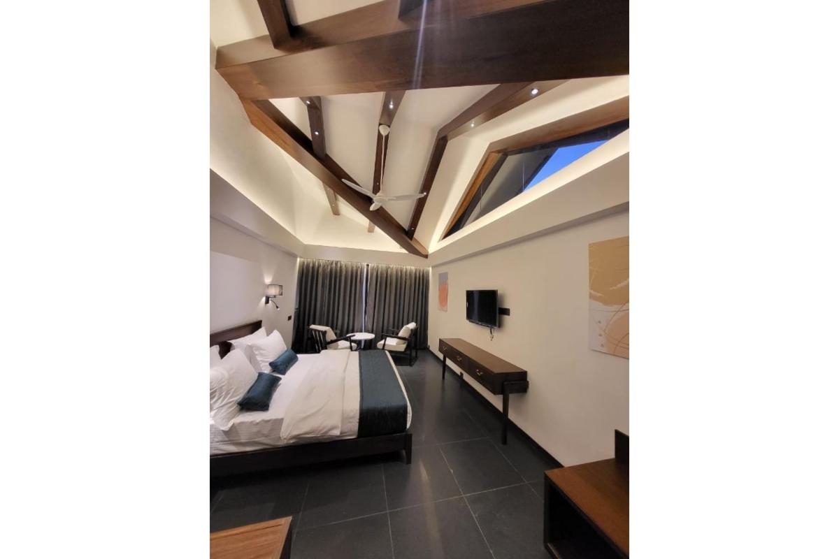 Suite - Photo 5