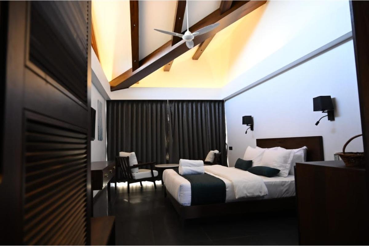 Suite - Photo 9