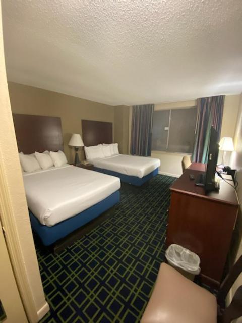 Double Room with Two Double Beds