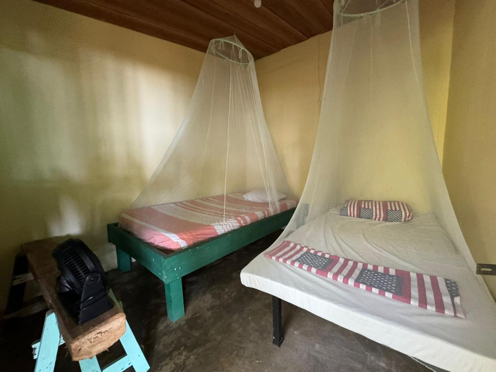 Mixed Dormitory Room photo 1
