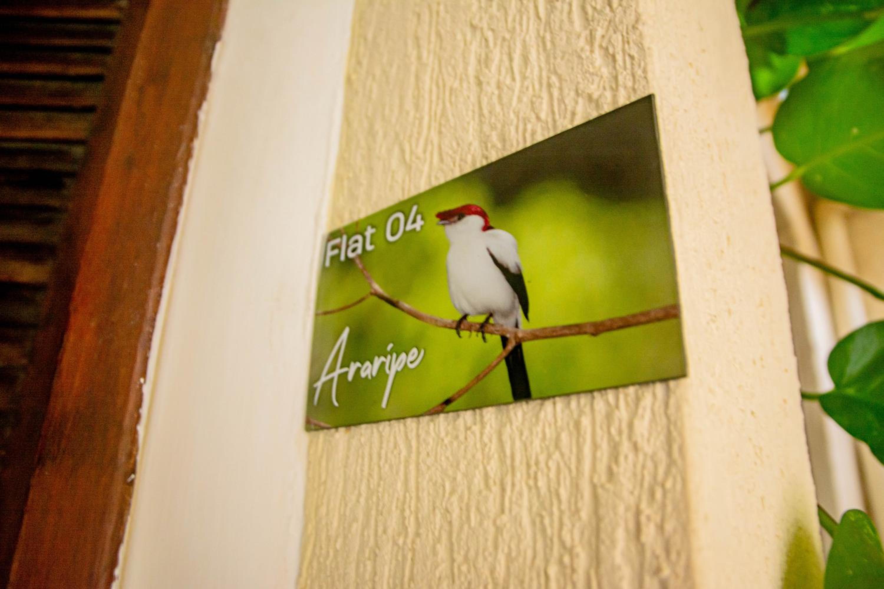Apartment - Ground Floor photo 2