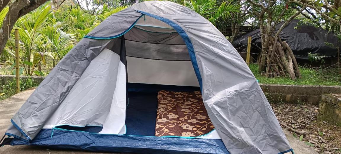 Tent photo 3