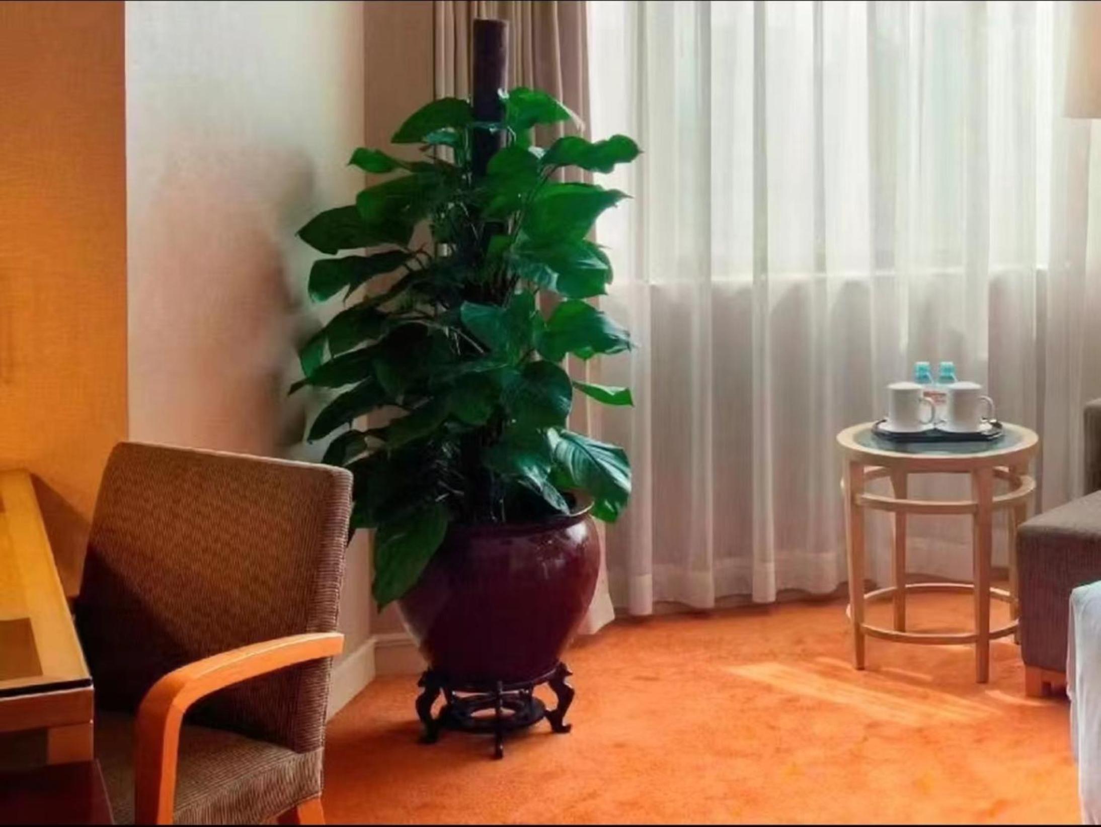 Premium King Room with Executive Benefits