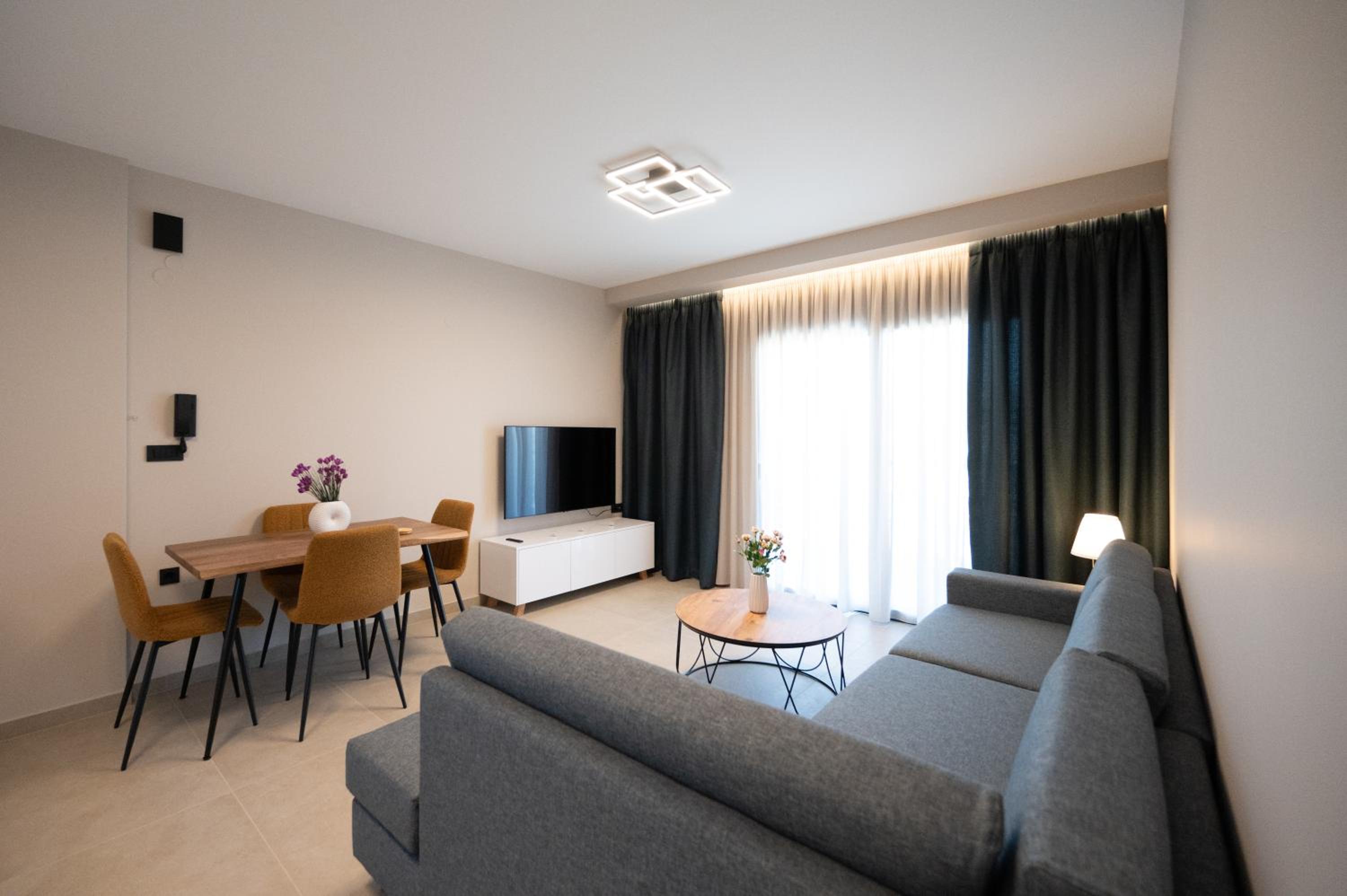 Deluxe One-Bedroom Apartment