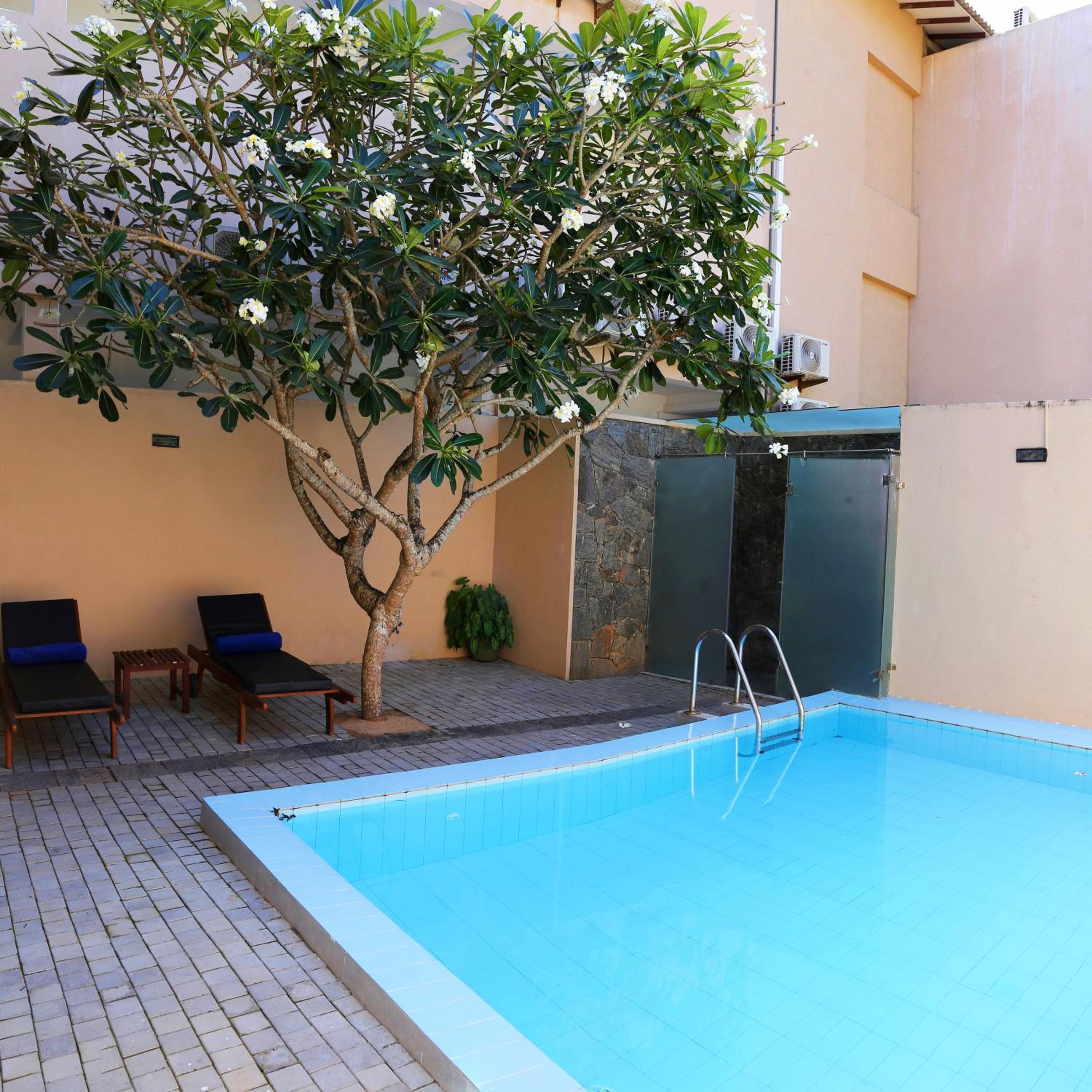 Superior Plunge Pool photo 3