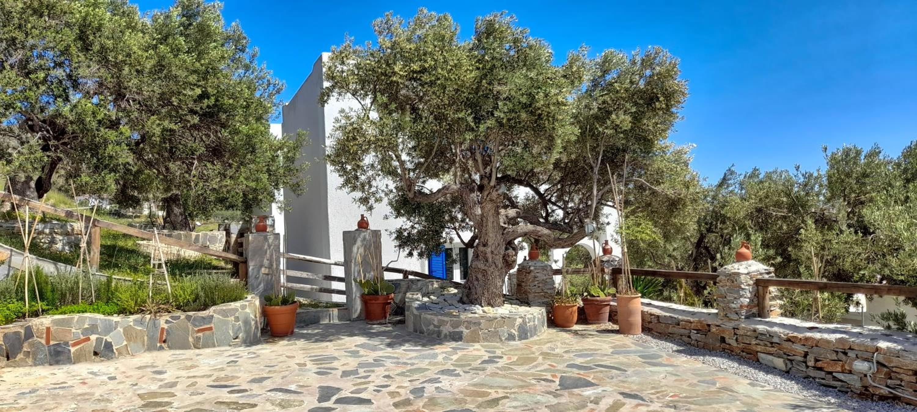Villa with Sea View - Photo 10