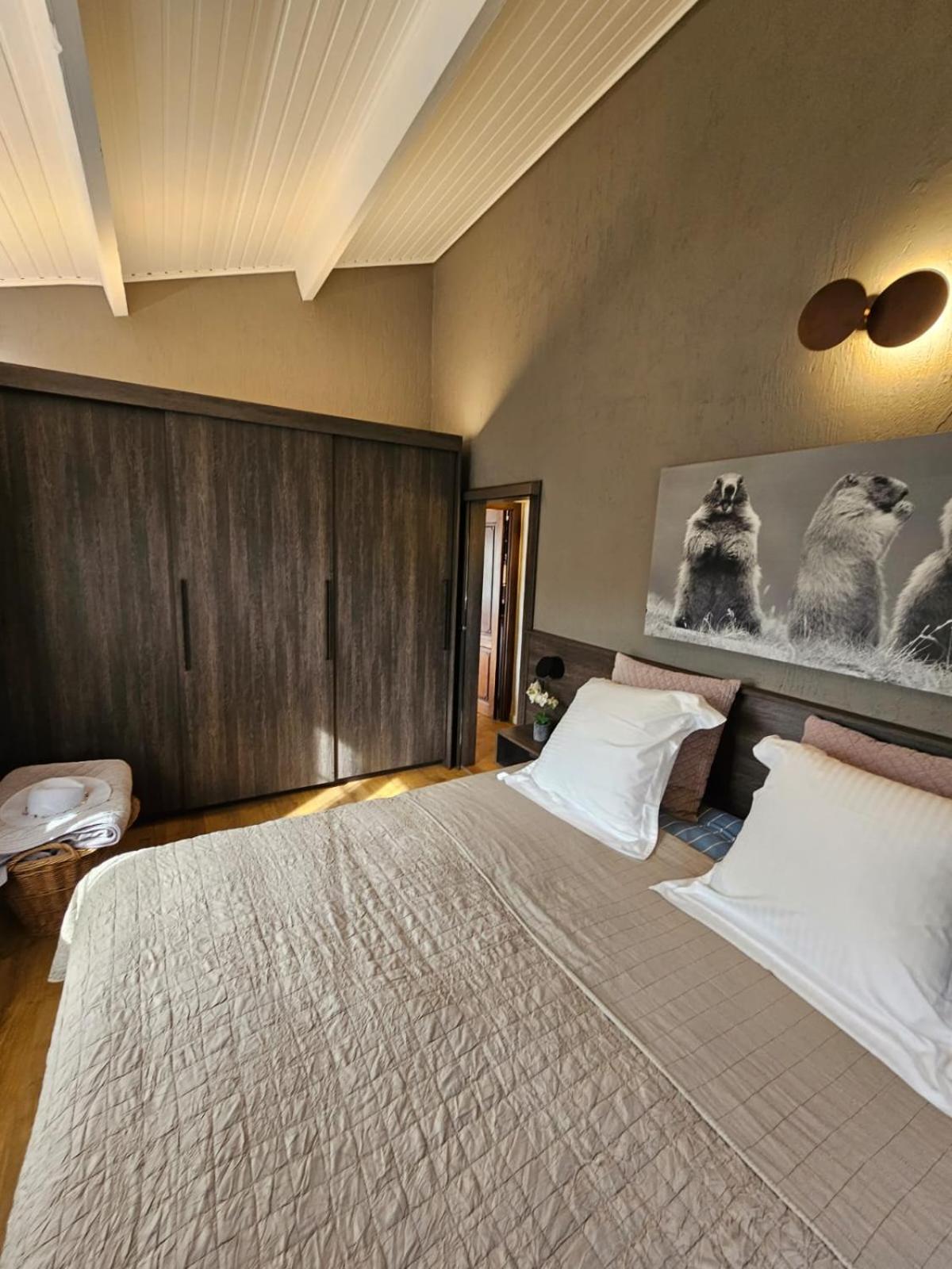 One-Bedroom House photo 3