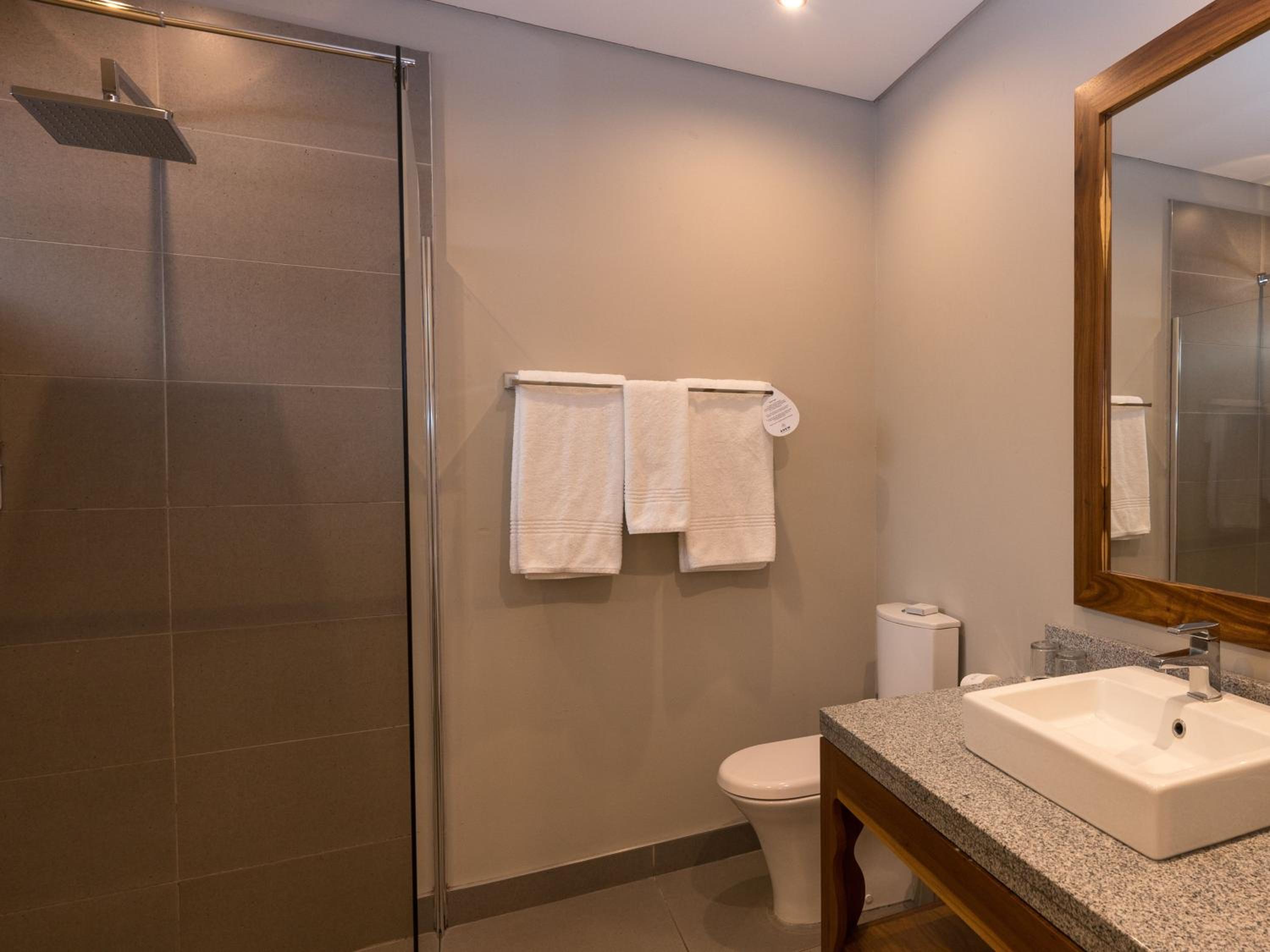 Deluxe Suite - Photo 3