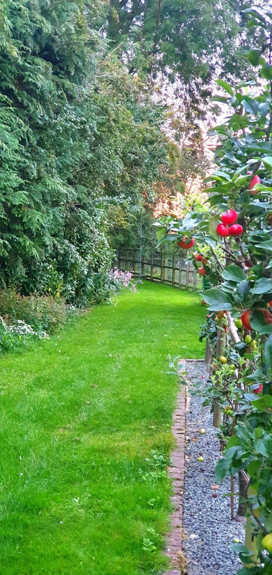 Double Or Twin Room With Garden View photo 3