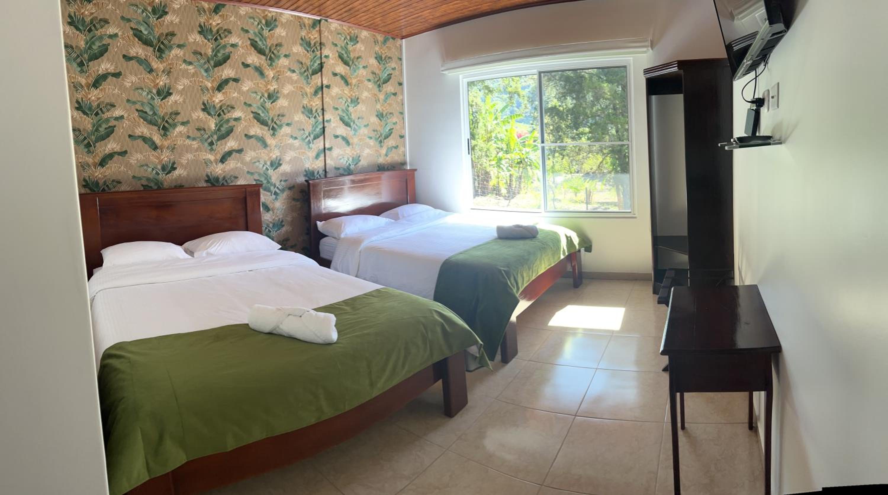 Twin Room photo 2