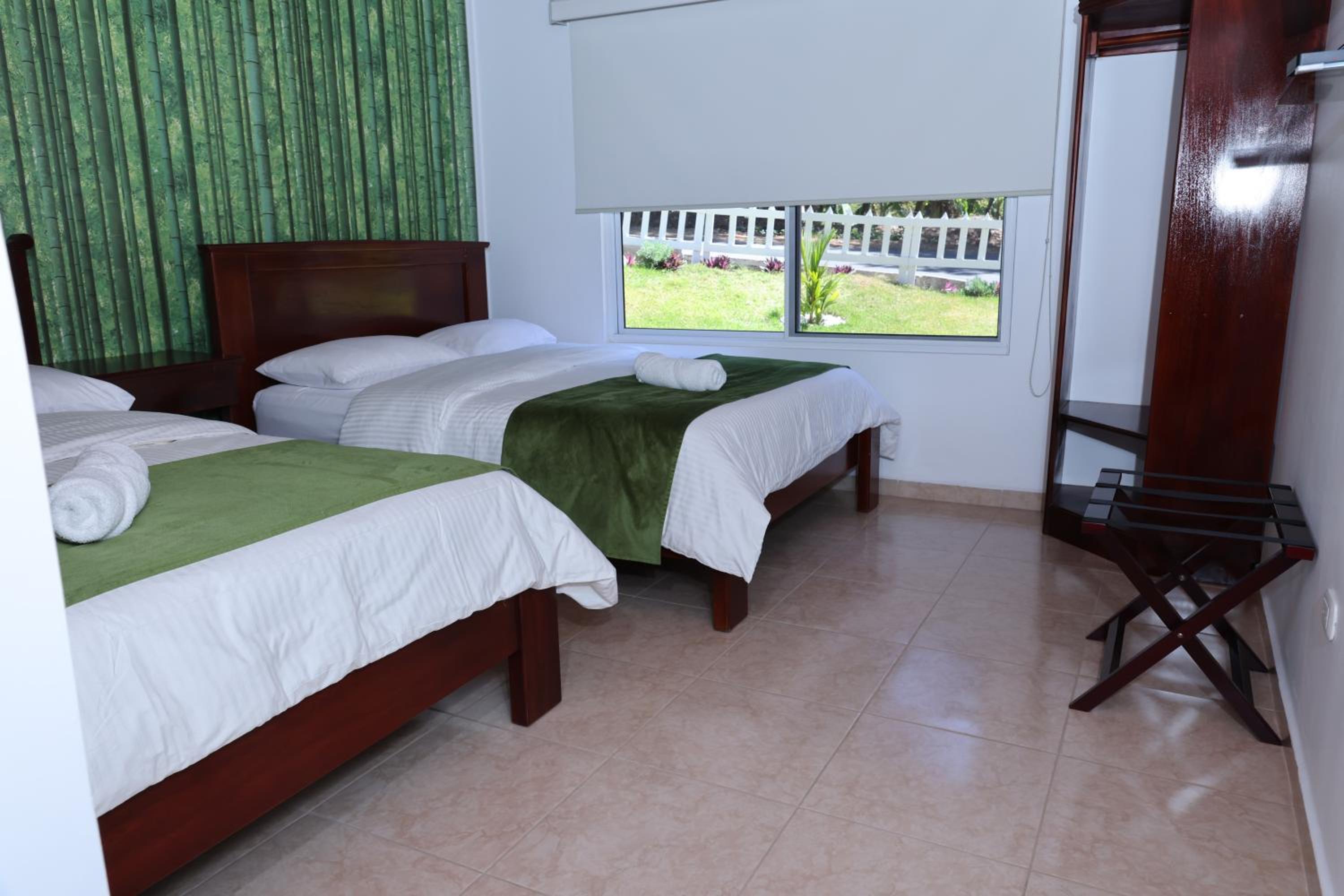 Twin Room photo 1