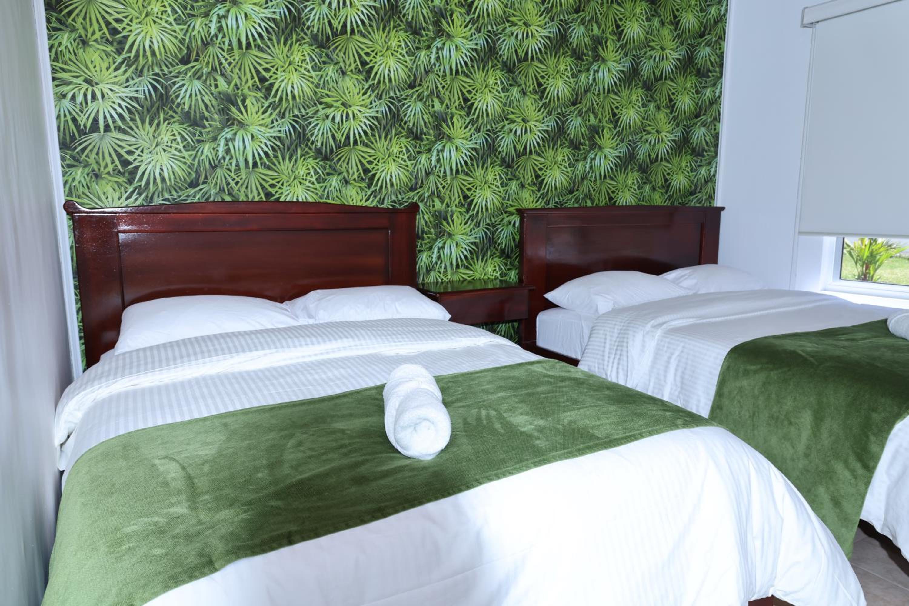 Twin Room photo 3
