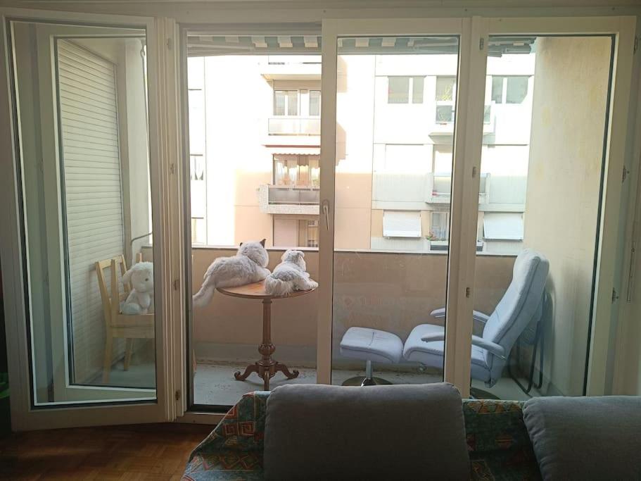 One-Bedroom Apartment photo 3