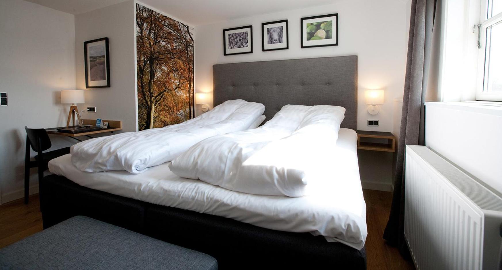 Standard Double Room photo 2
