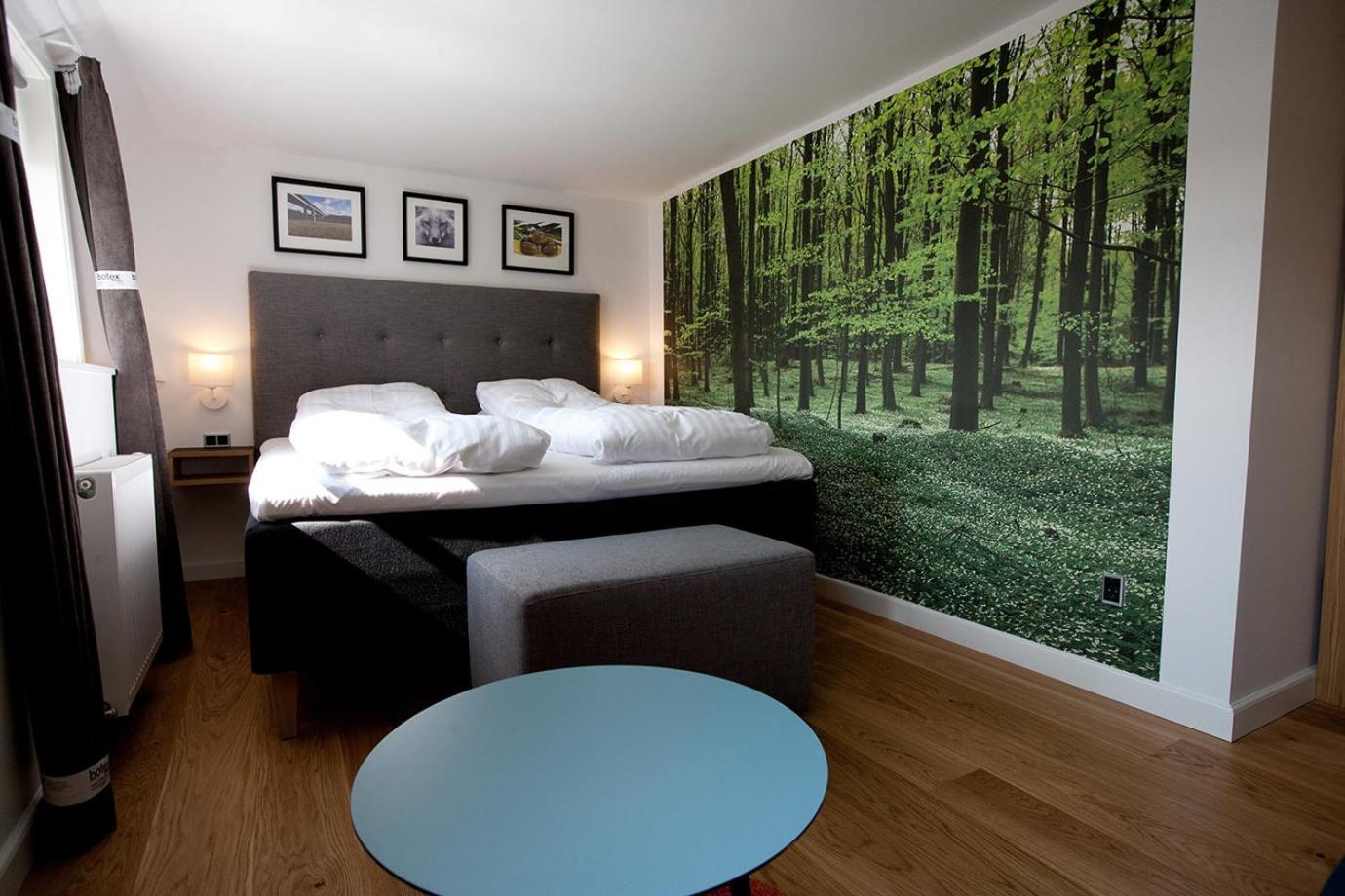 Superior Twin Room photo 2