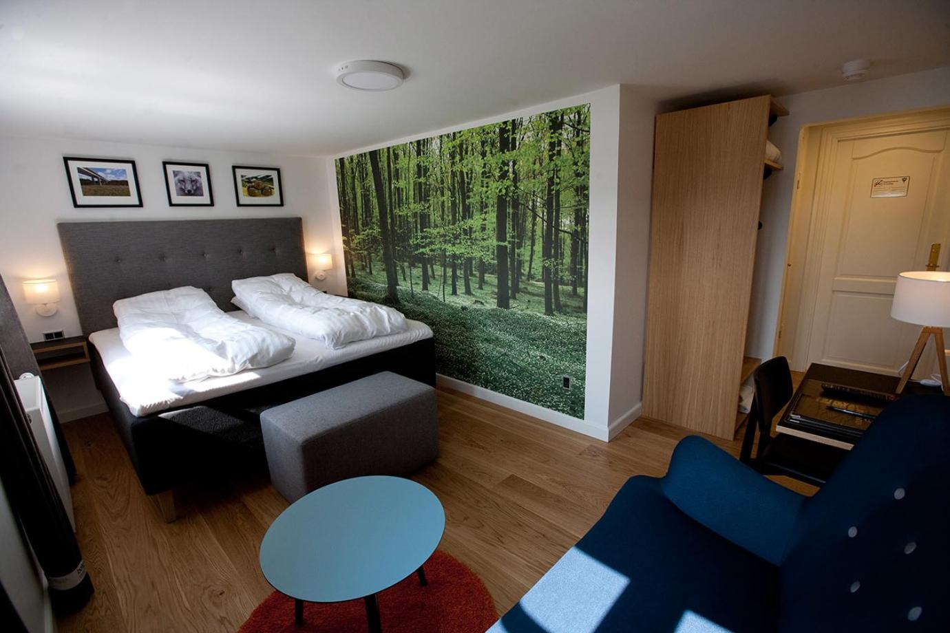 Superior Twin Room photo 3