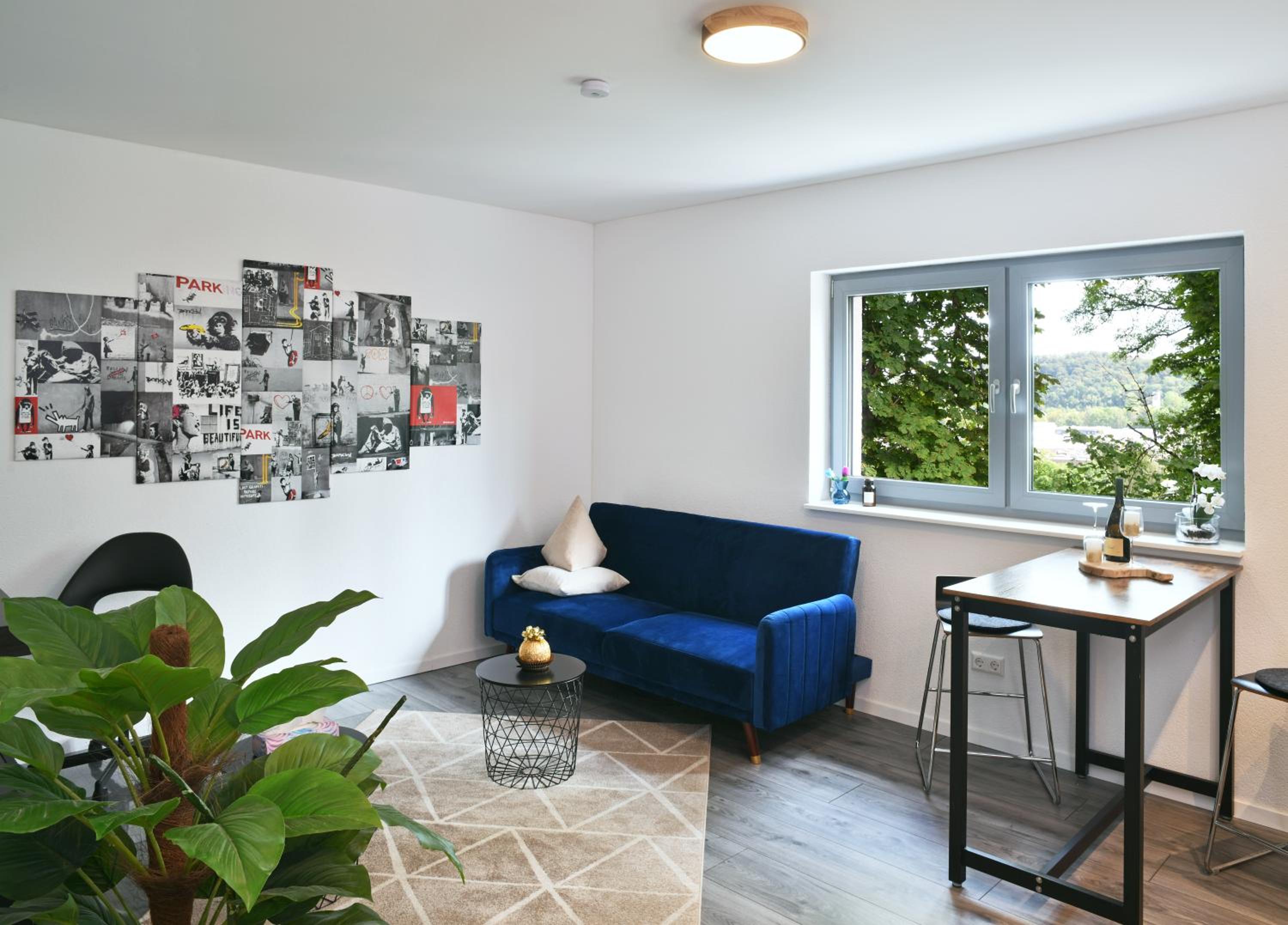 One-Bedroom Apartment