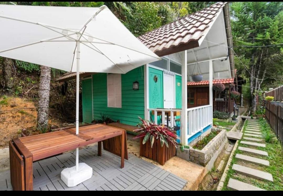 One-Bedroom Chalet photo 1