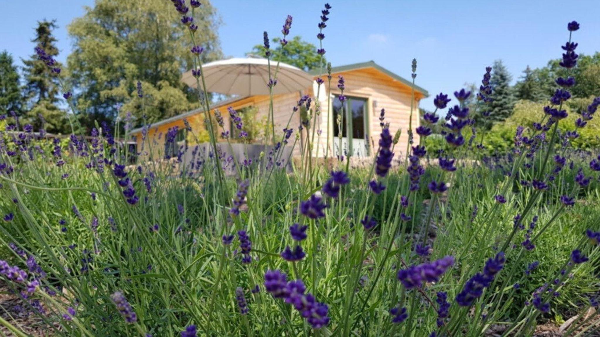 Two-Bedroom Holiday Home photo 2