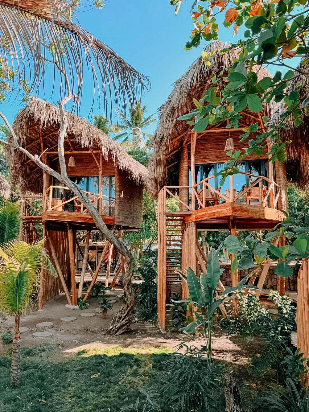 Jungle Tree House