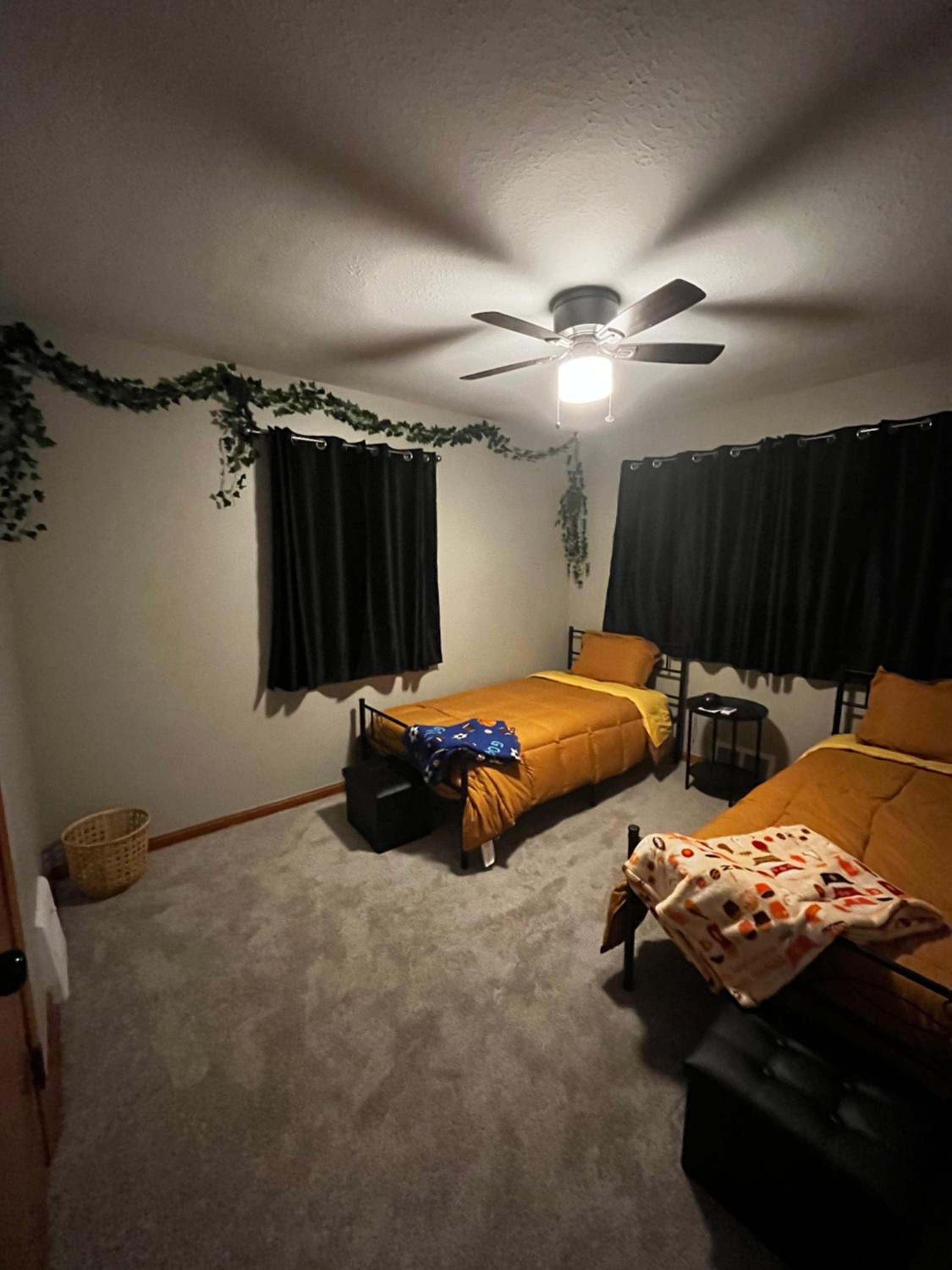One-Bedroom House photo 3